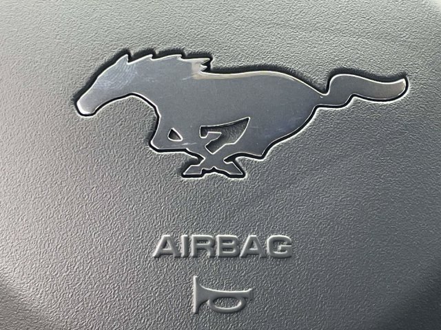 New 2026 Ford Mustang Coupe w/ Mustang Nite Pony Package RWD image 25