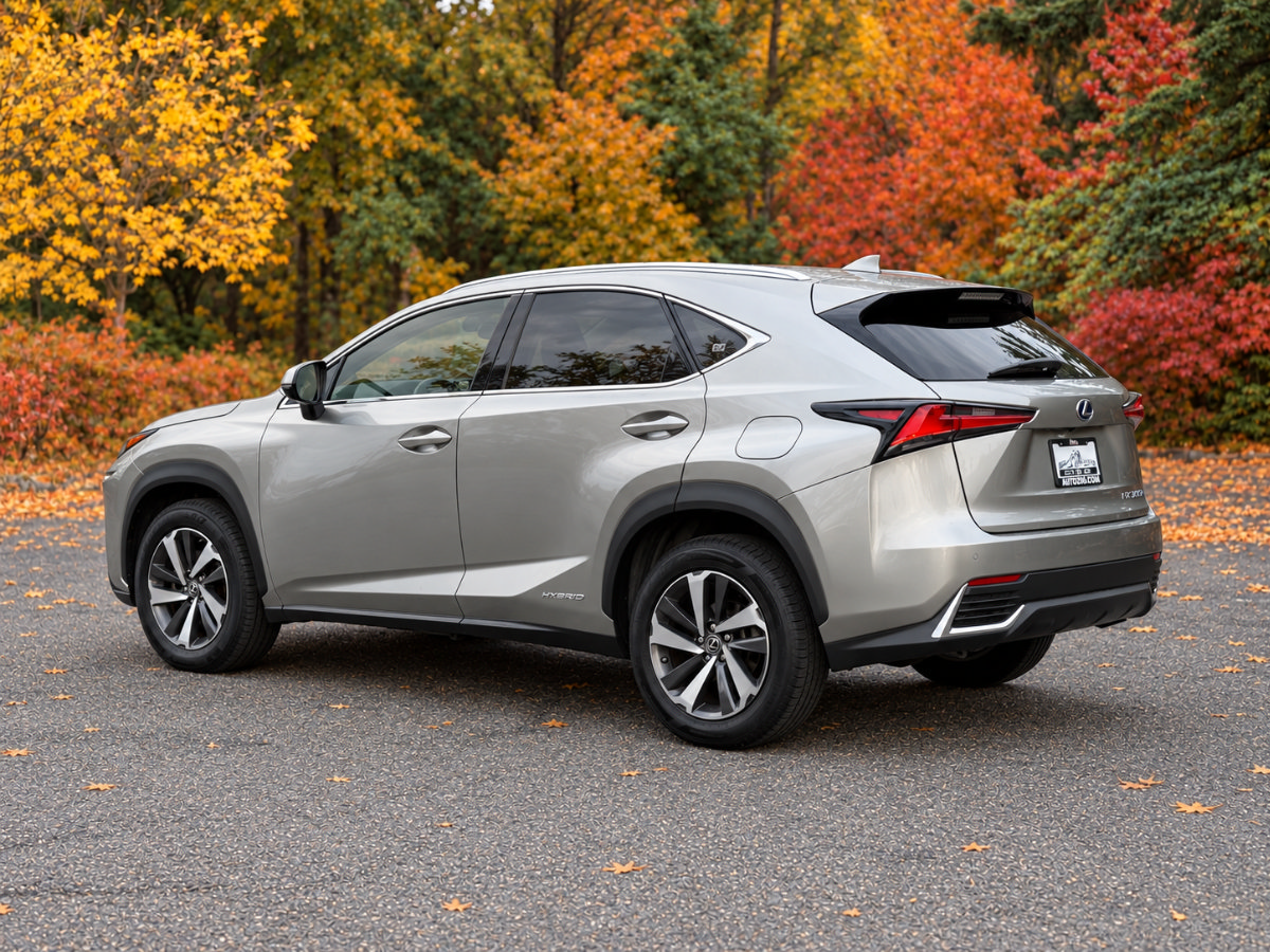 Used 2019 Lexus NX 300h AWD w/ Premium Package image 4