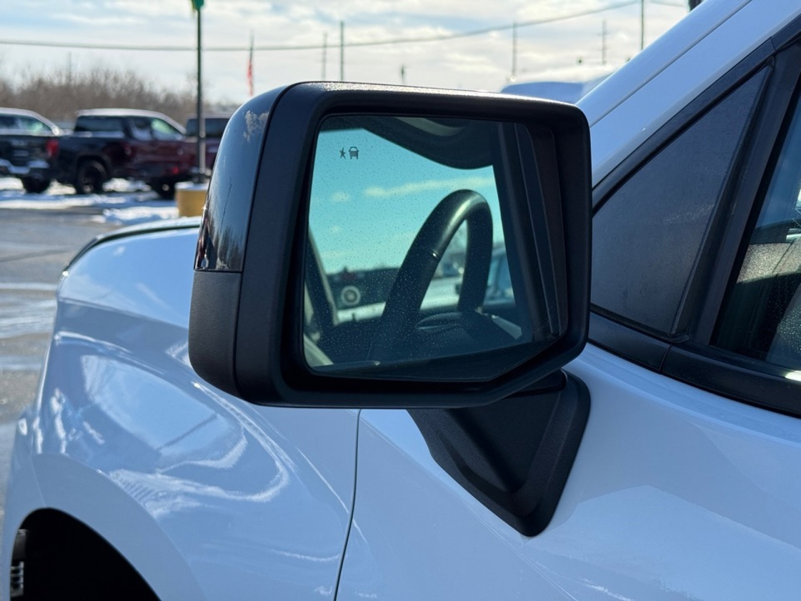 Used 2020 Chevrolet Silverado 1500 LT Trail Boss image 35