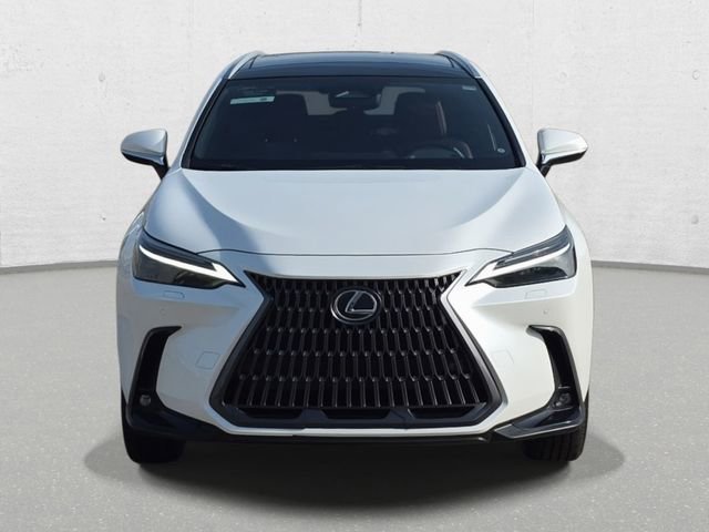 Used 2024 Lexus NX 350 AWD w/ Cold Area Package image 2