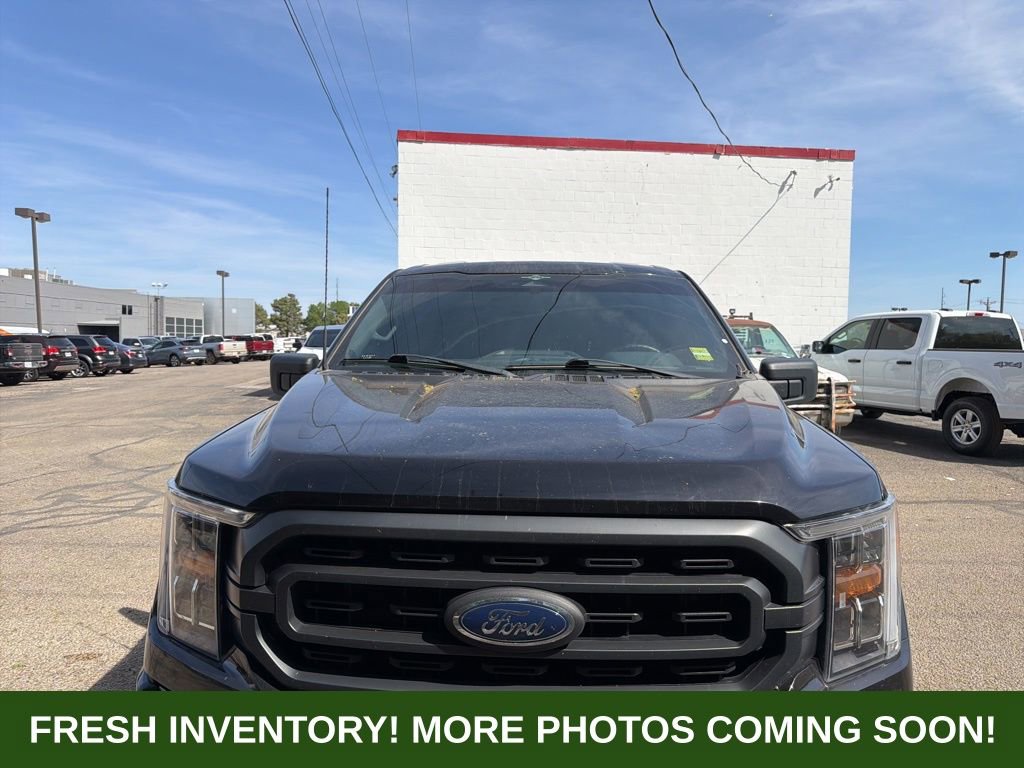 Used 2023 Ford F150 XLT w/ Equipment Group 302A High image 2