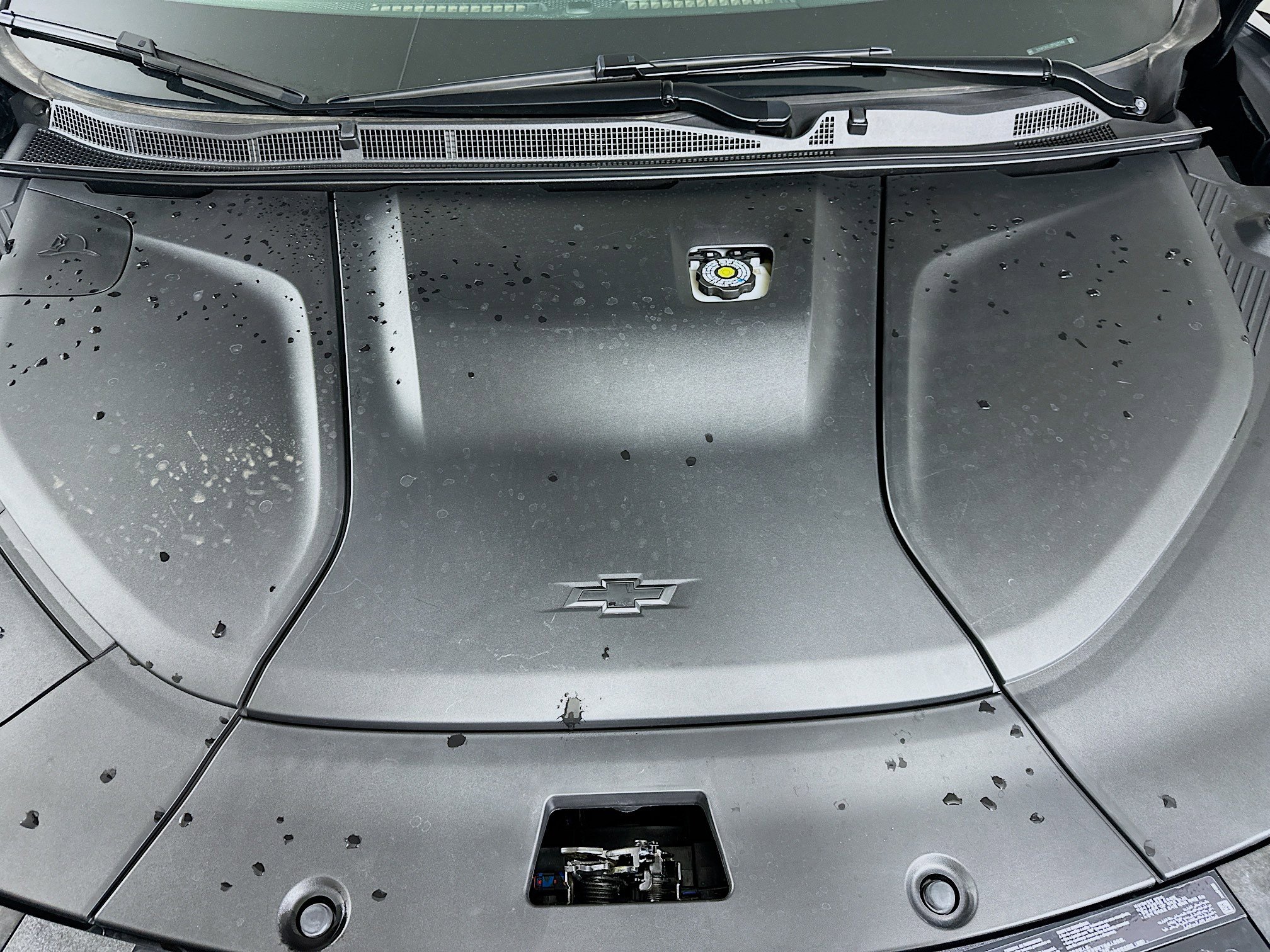 Used 2024 Chevrolet Blazer EV LT image 32