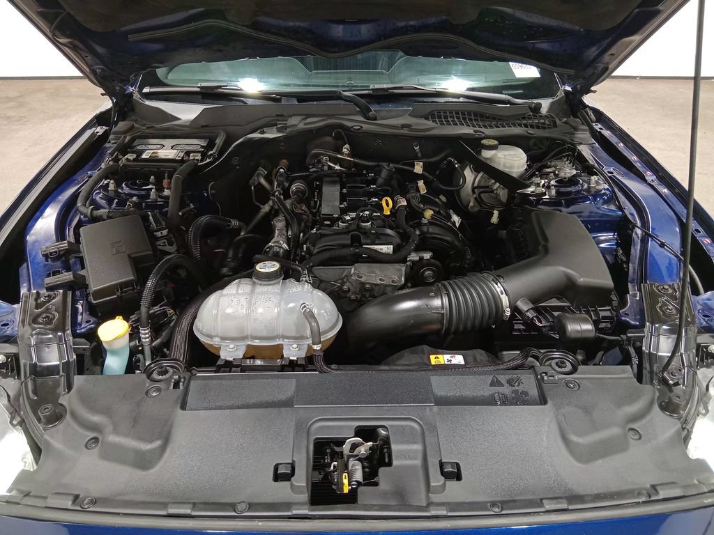 Used 2018 Ford Mustang Premium w/ Equipment Group 201A RWD image 12