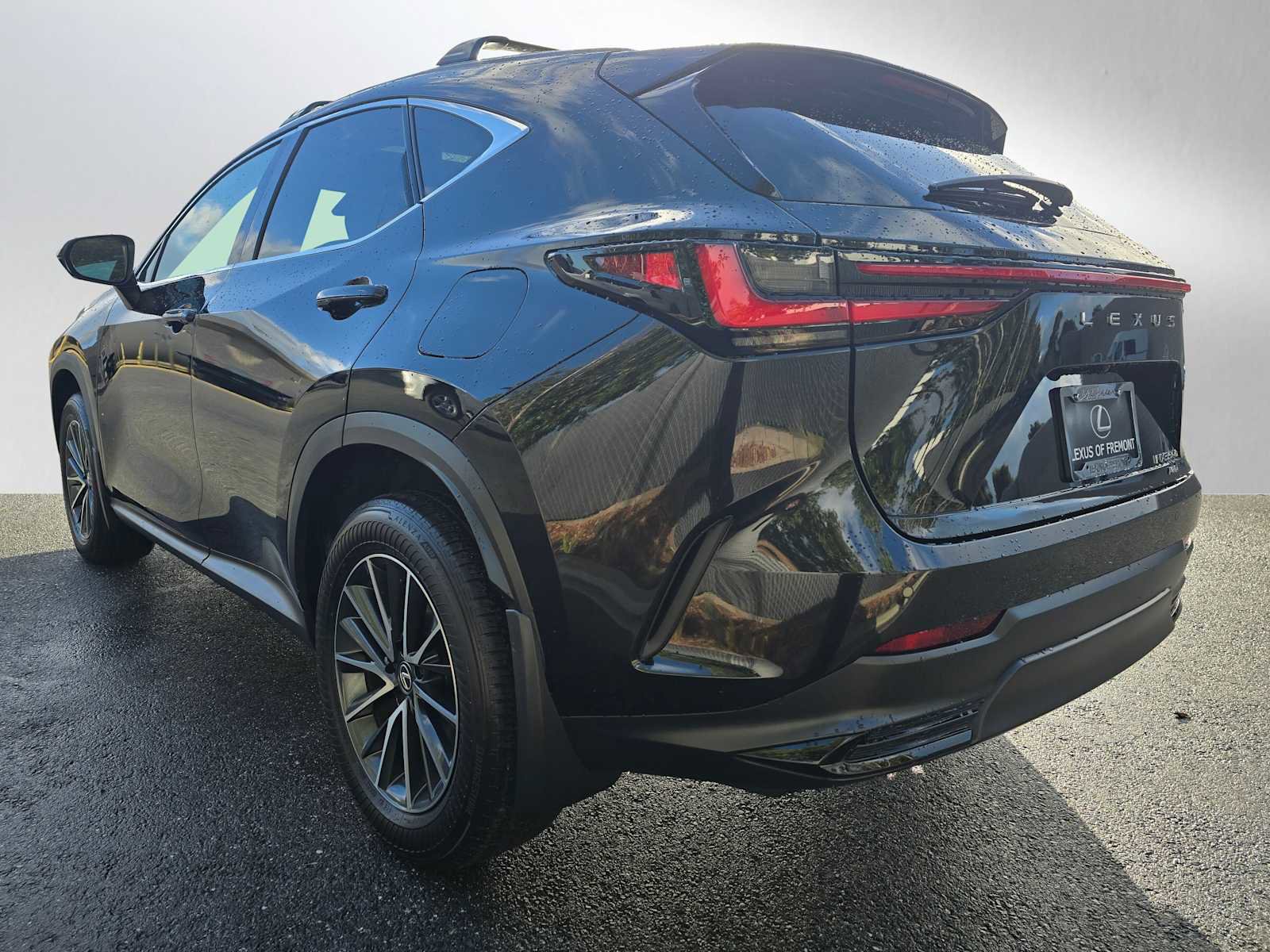 Used 2025 Lexus NX 350h AWD w/ Premium Package image 5