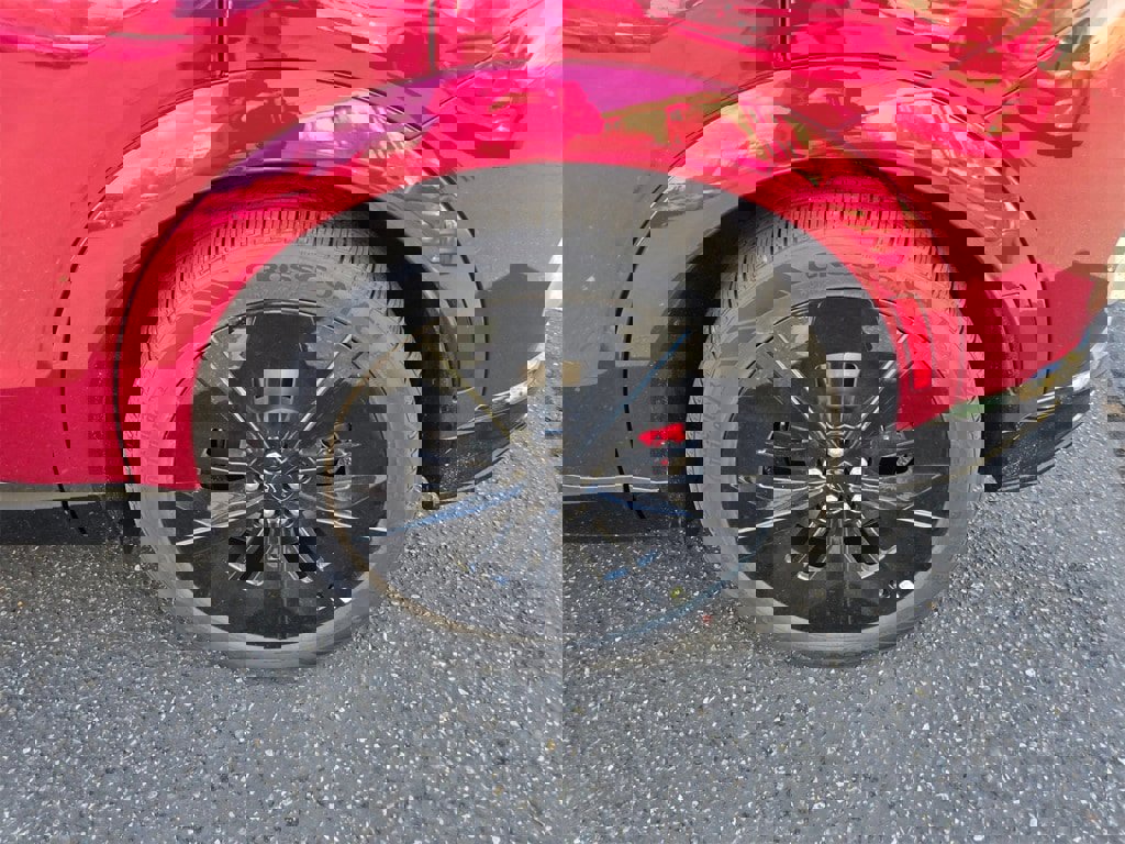 New 2025 Ford Mustang Mach-E GT w/ Interior Protection Package image 9