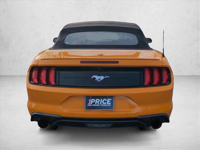 Used 2019 Ford Mustang Premium w/ Equipment Group 201A image 6