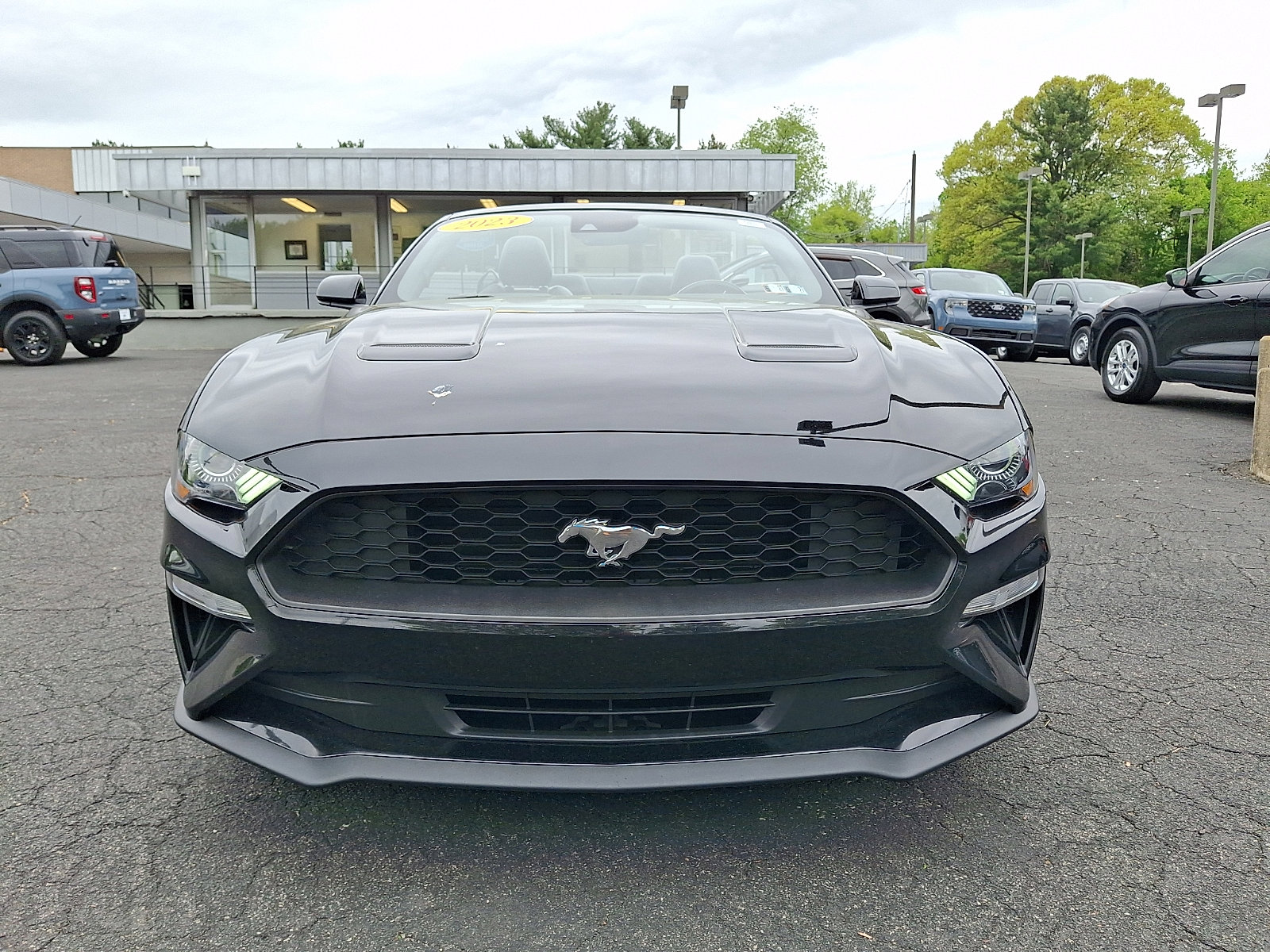 Certified 2023 Ford Mustang Premium RWD image 2