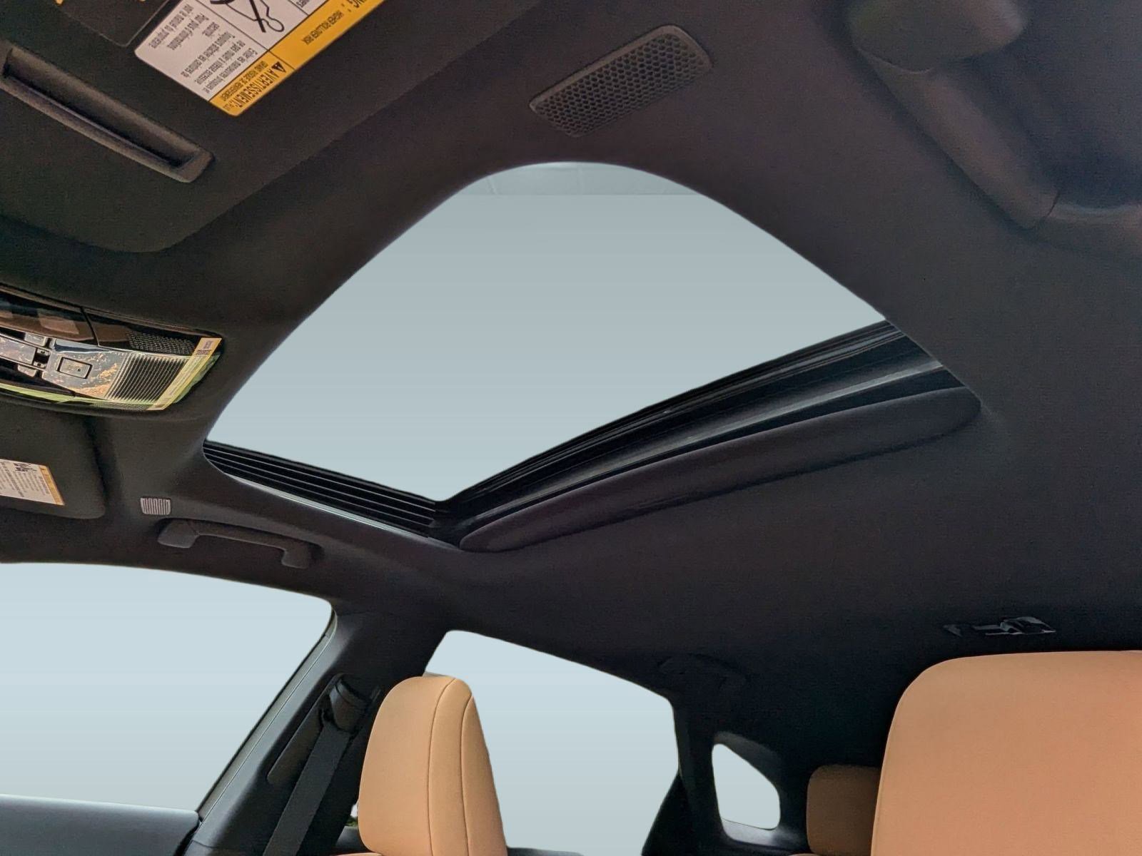 New 2025 Lexus RX 350 Premium image 13