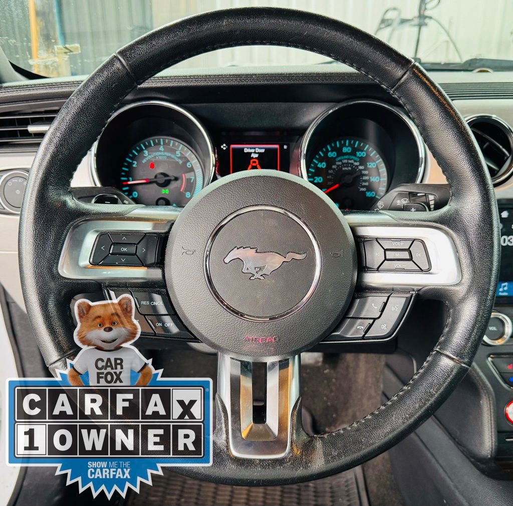 Used 2017 Ford Mustang Premium w/ Equipment Group 201A image 22