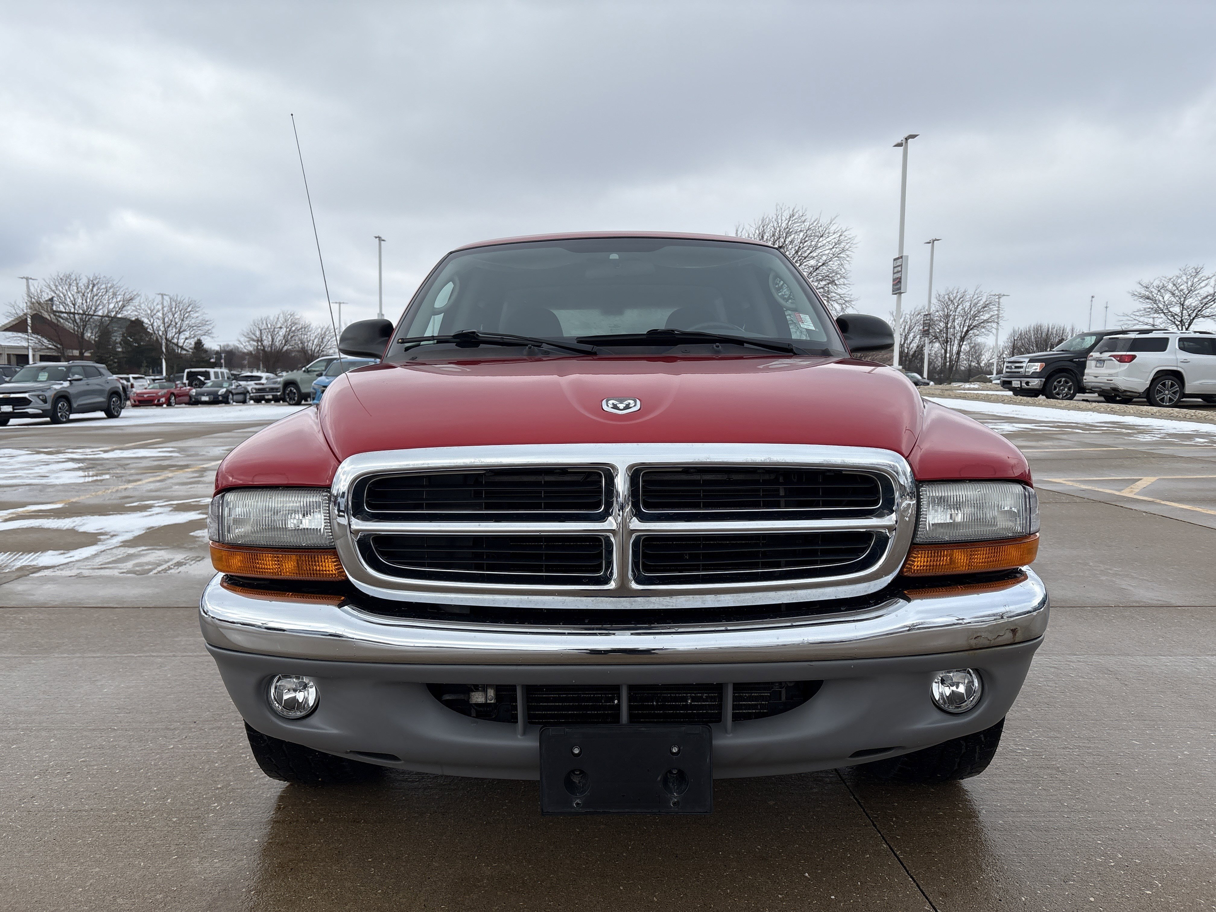 Used 2002 Dodge Dakota SLT image 2
