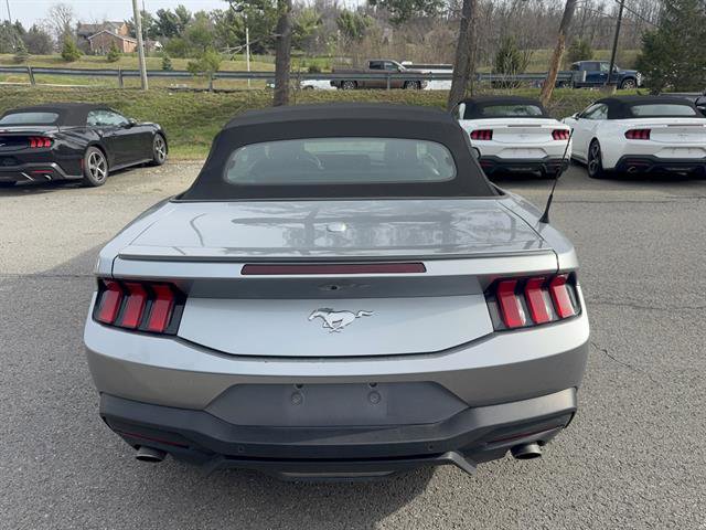 Used 2024 Ford Mustang Premium image 6