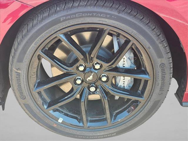 New 2026 Ford Mustang GT w/ Mustang Nite Pony Package RWD image 10