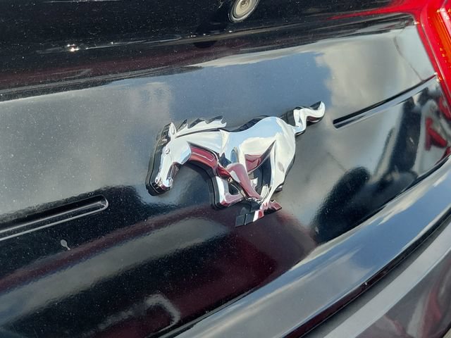 Certified 2022 Ford Mustang Coupe RWD image 7