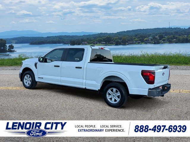 Used 2026 Ford F150 XL w/ Equipment Group 104A Hybrid RWD image 5