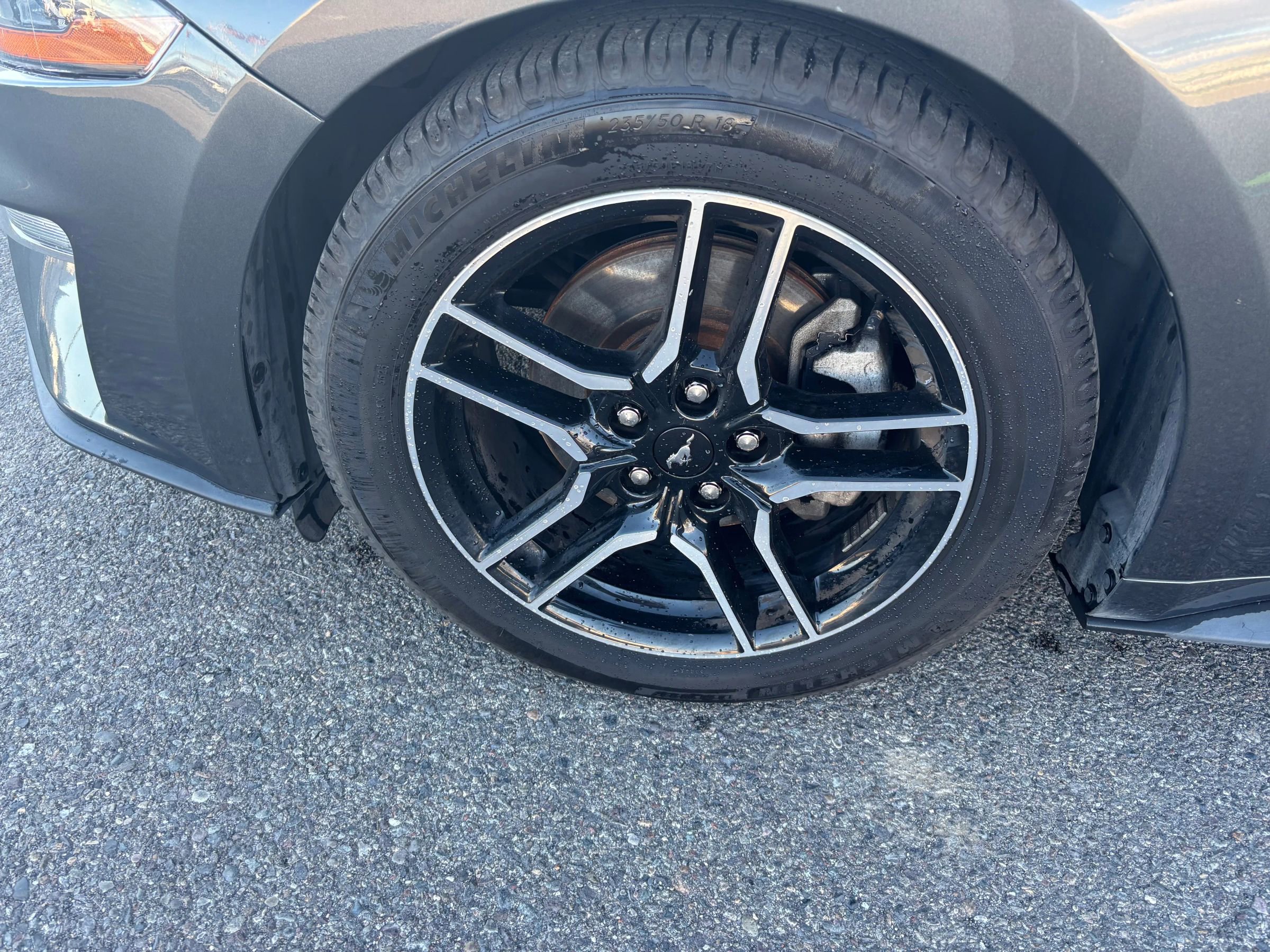 Used 2020 Ford Mustang Premium image 5