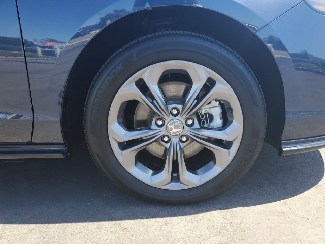 Certified 2025 Honda Accord EX-L image 6