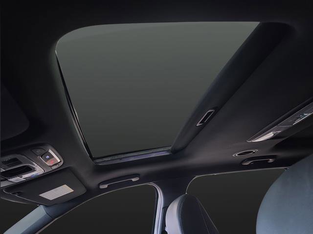 Used 2024 Kia Telluride SX X-Line image 7