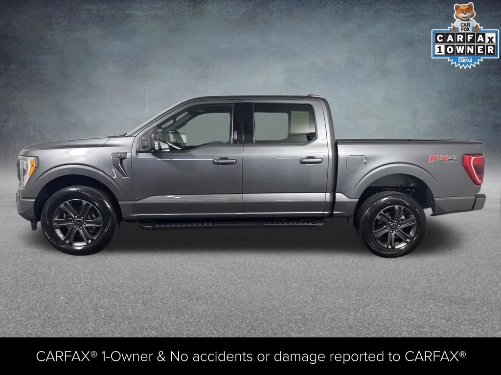 Used 2023 Ford F150 XLT w/ Equipment Group 302A High AWD/4WD image 2