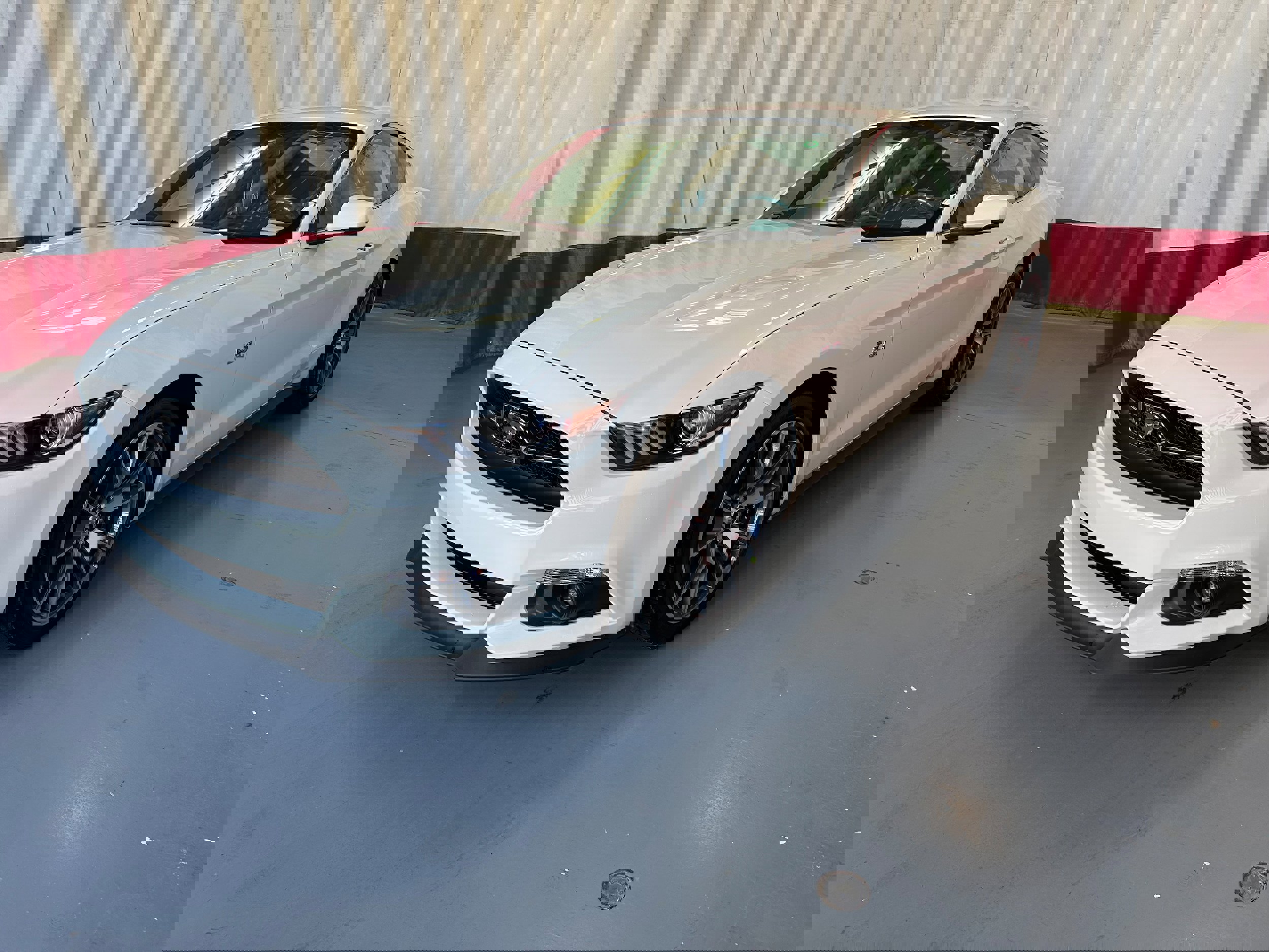 Used 2015 Ford Mustang 50 Years image 6