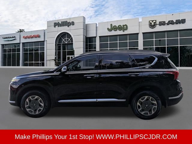 Used 2021 Hyundai Santa Fe Blue AWD/4WD image 6