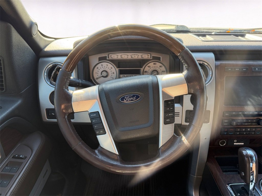 Used 2009 Ford F150 Platinum image 12