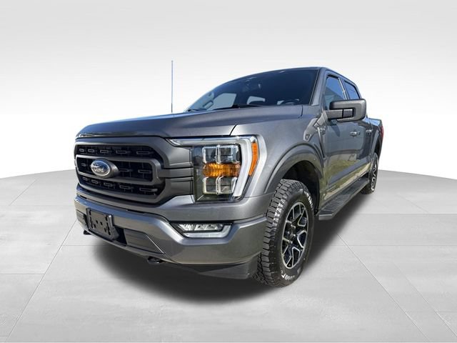 Used 2023 Ford F150 XLT w/ Equipment Group 302A High AWD/4WD image 7