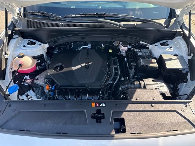 Used 2023 Hyundai Santa Fe SEL w/ Cargo Package image 22