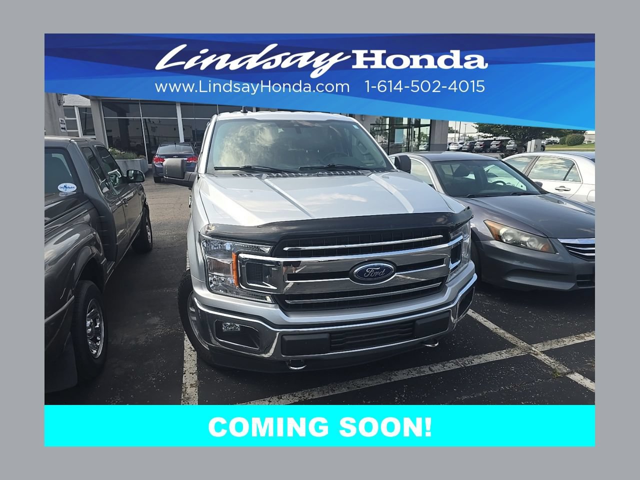 Used 2019 Ford F150 XLT