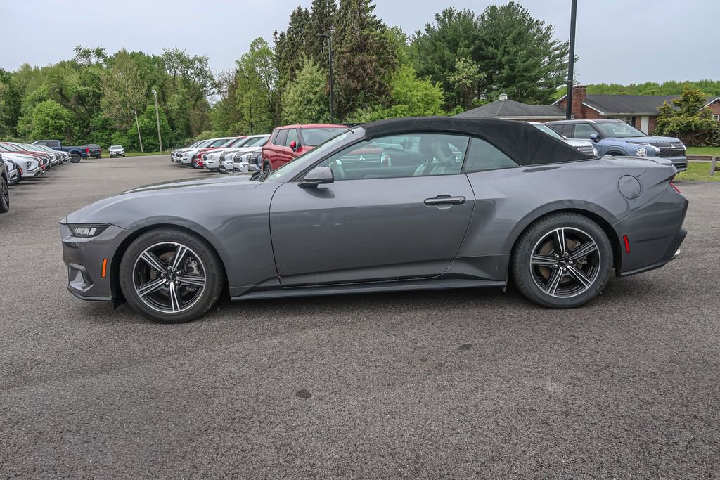 Used 2024 Ford Mustang Premium RWD image 3