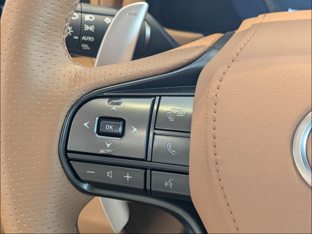 Used 2025 Lexus LC 500 Coupe w/ Dynamic Handling Package RWD image 23
