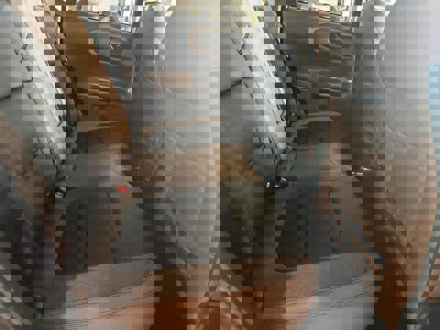 New 2025 Ford Bronco Sport Outer Banks image 25