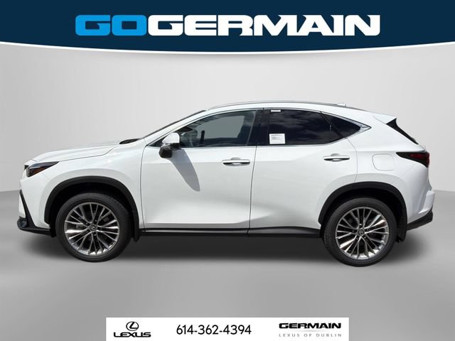 New 2026 Lexus NX 350 AWD w/ Premium Package image 11