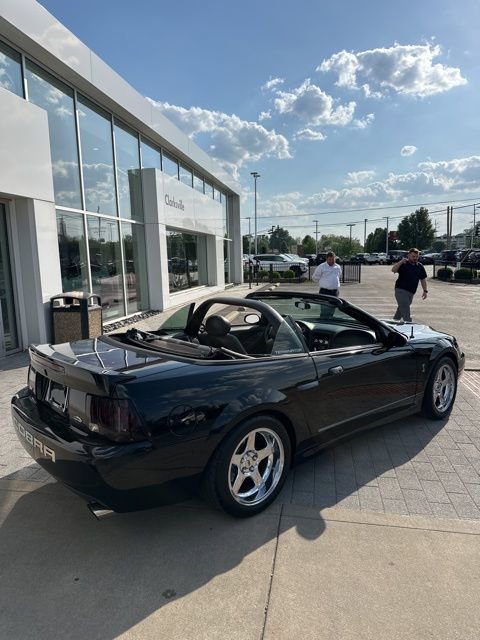 Used 2004 Ford Mustang Cobra RWD image 3
