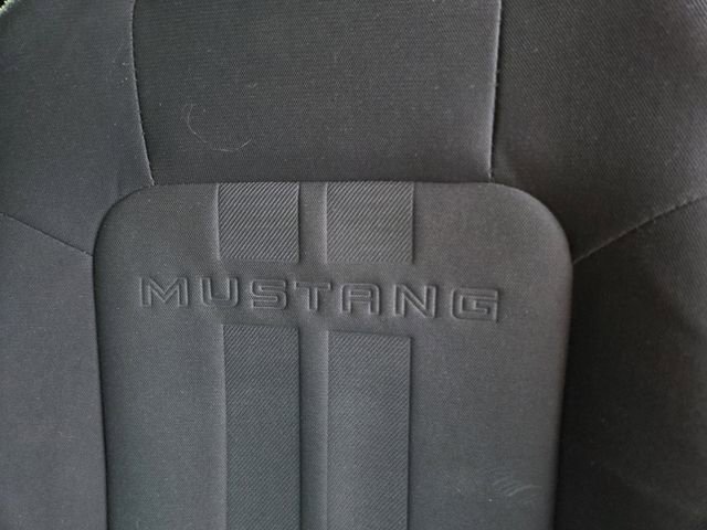 Used 2019 Ford Mustang EcoBoost image 14