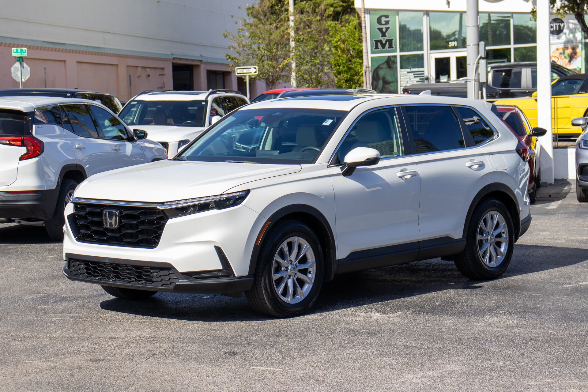 Used 2024 Honda CR-V EX-L image 1