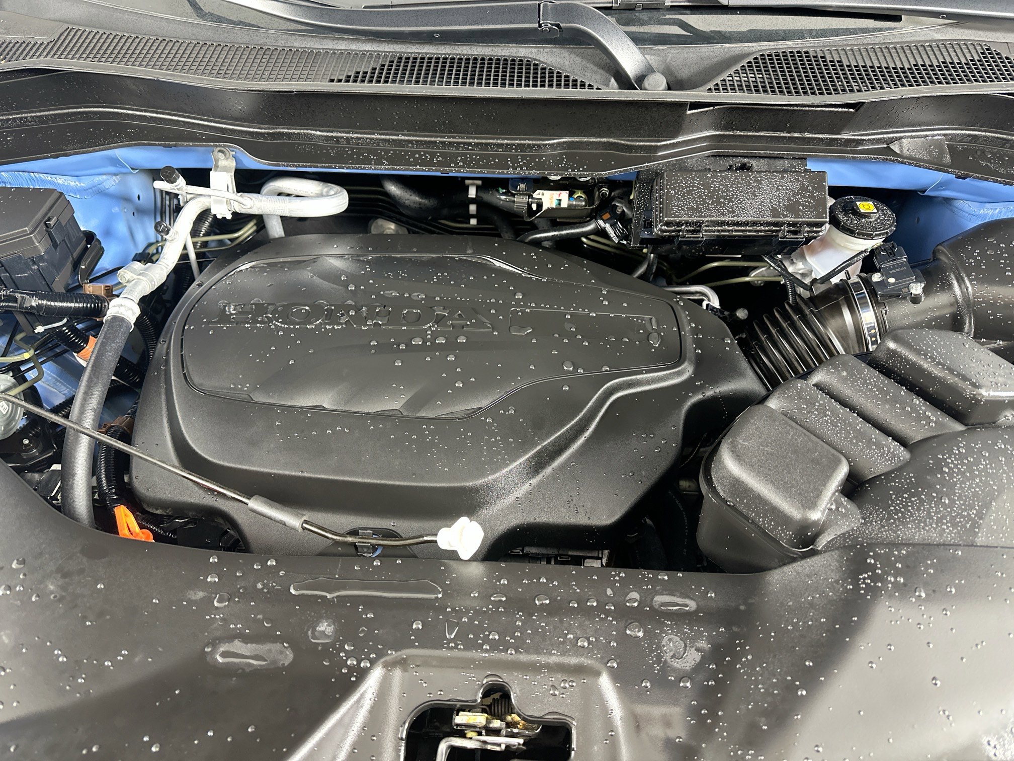 Used 2025 Honda Passport TrailSport image 39