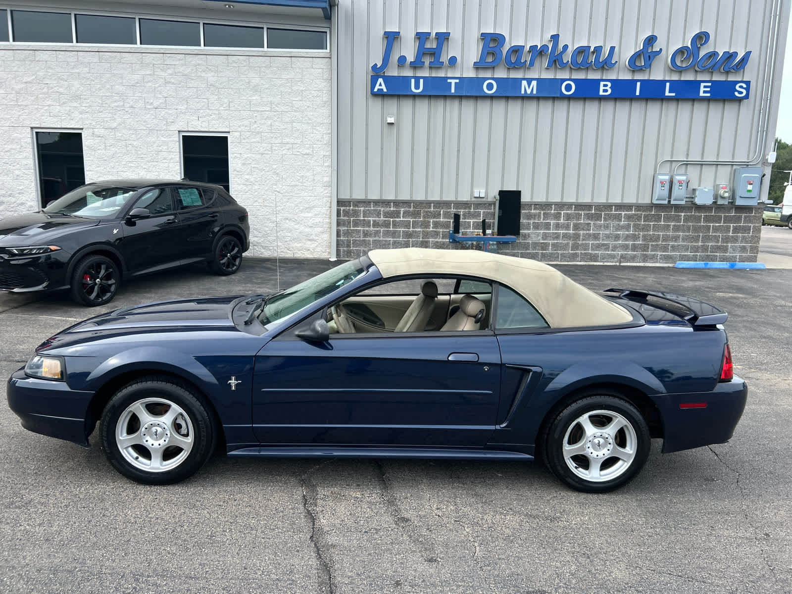 Used 2003 Ford Mustang Convertible RWD image 11