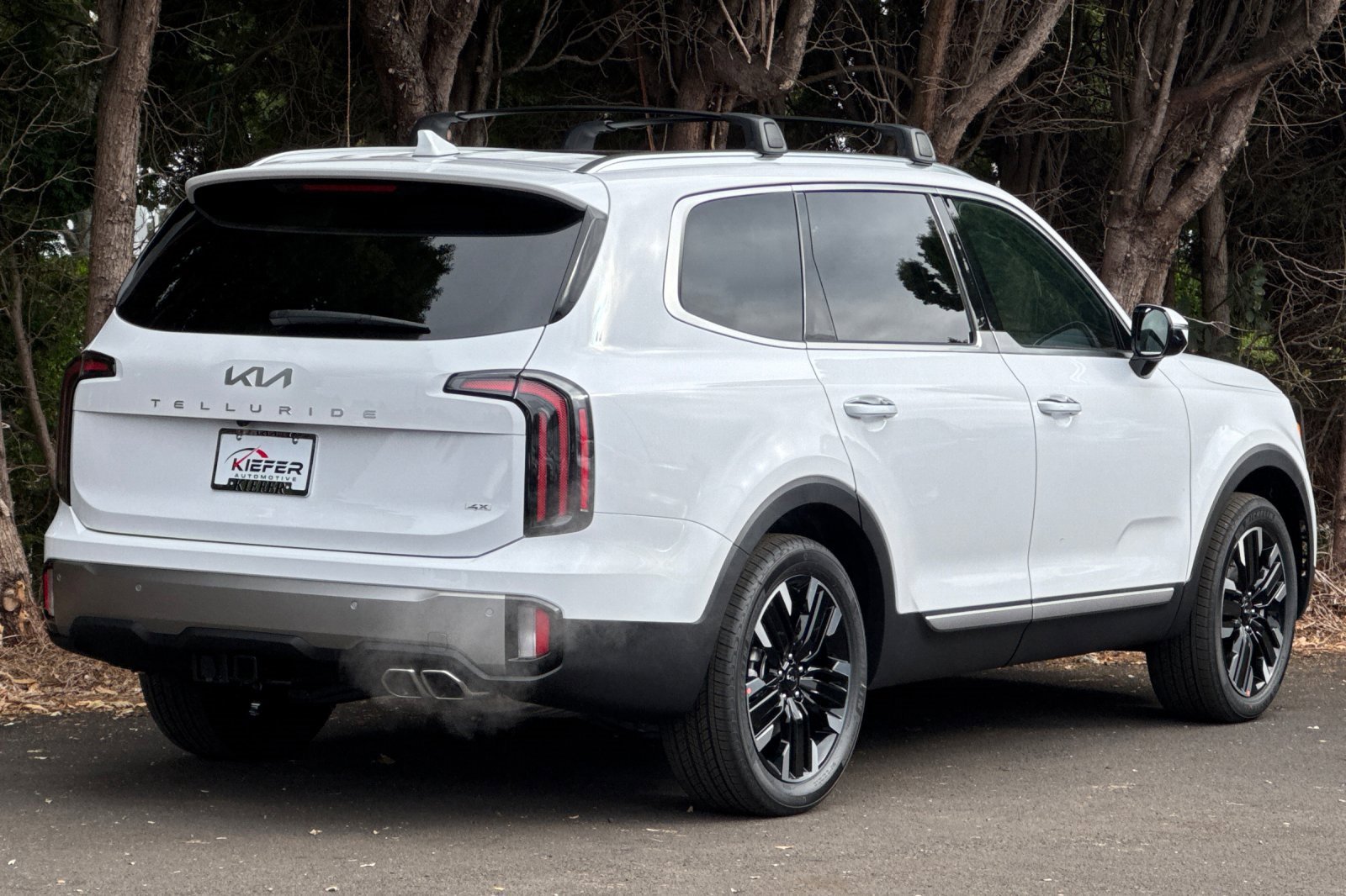 New 2025 Kia Telluride SX Prestige image 3