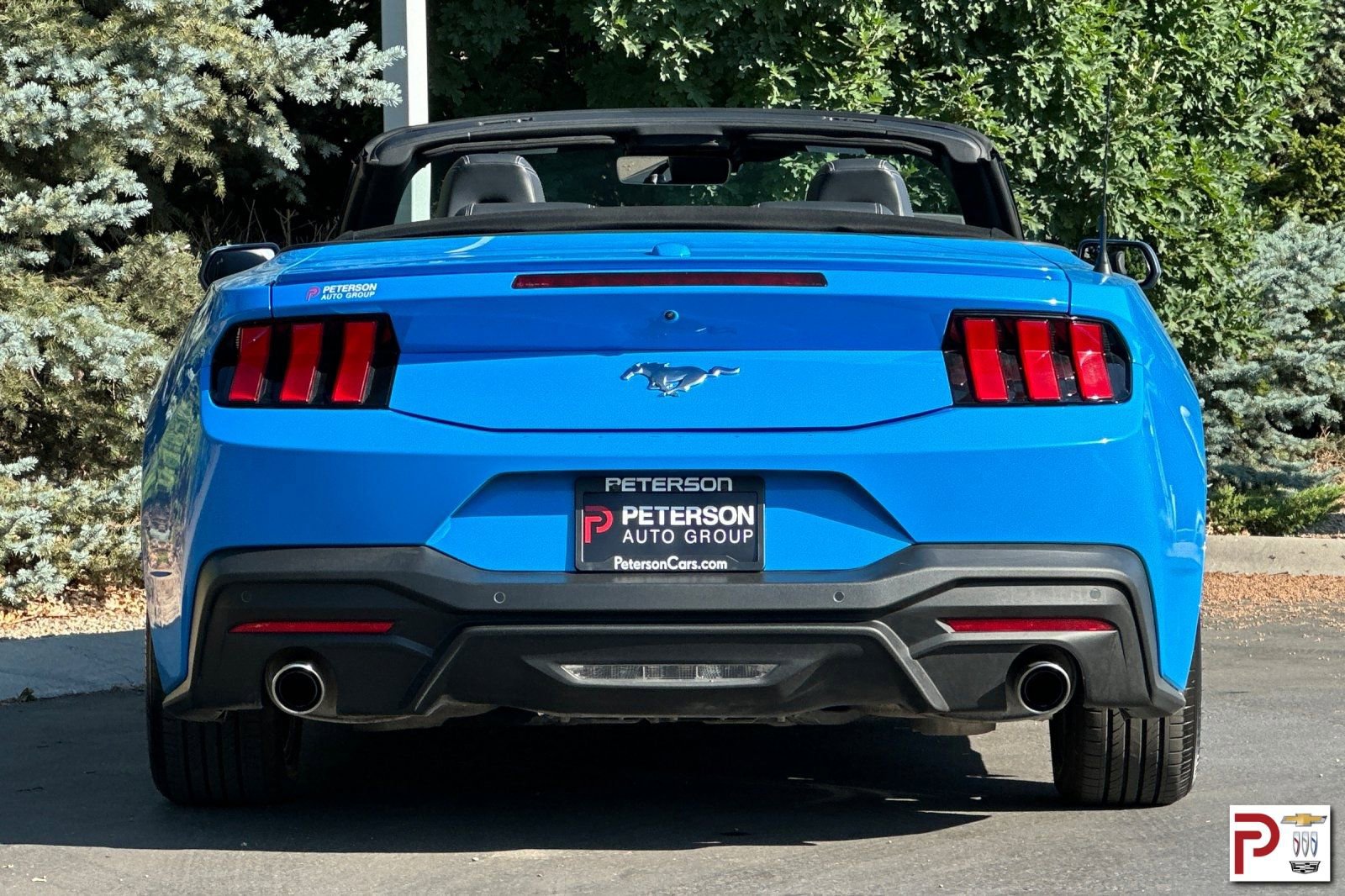 Used 2024 Ford Mustang Premium image 5