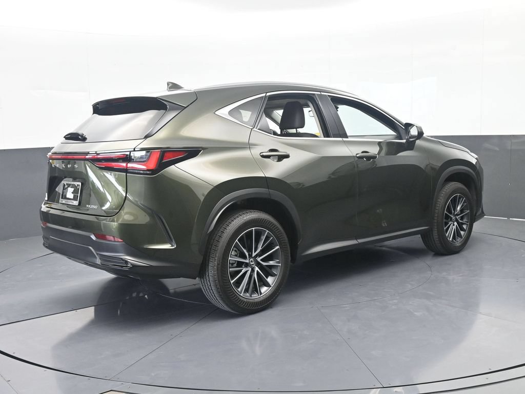 Used 2025 Lexus NX 250 FWD w/ Cold Area Package image 6