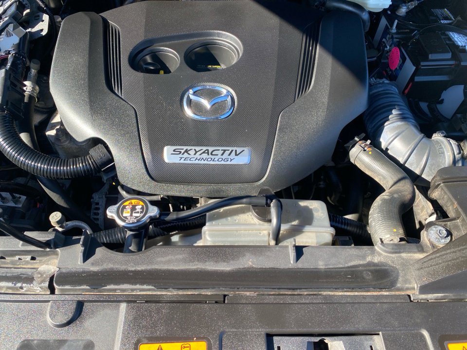 Used 2017 MAZDA CX-9 Signature image 19