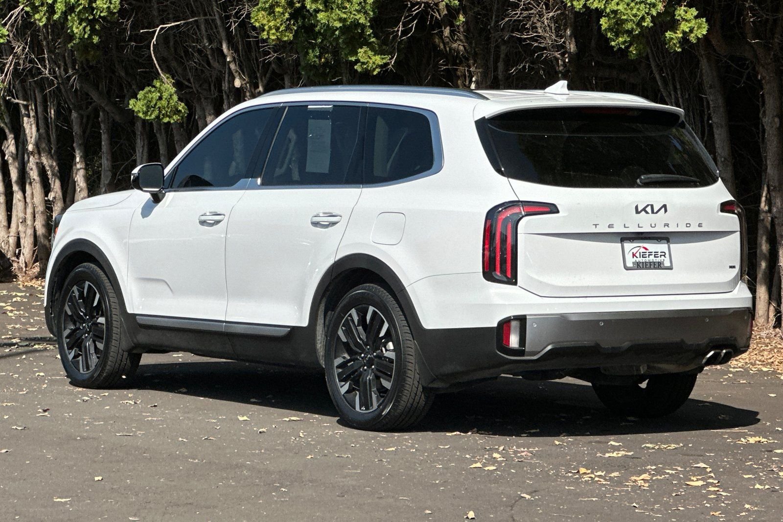 Used 2025 Kia Telluride SX Prestige AWD/4WD image 6