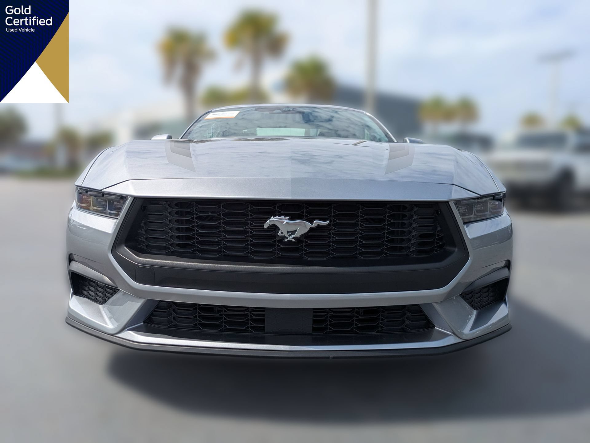Certified 2025 Ford Mustang Premium RWD image 12