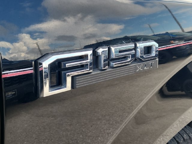 Used 2016 Ford F150 XLT RWD image 9