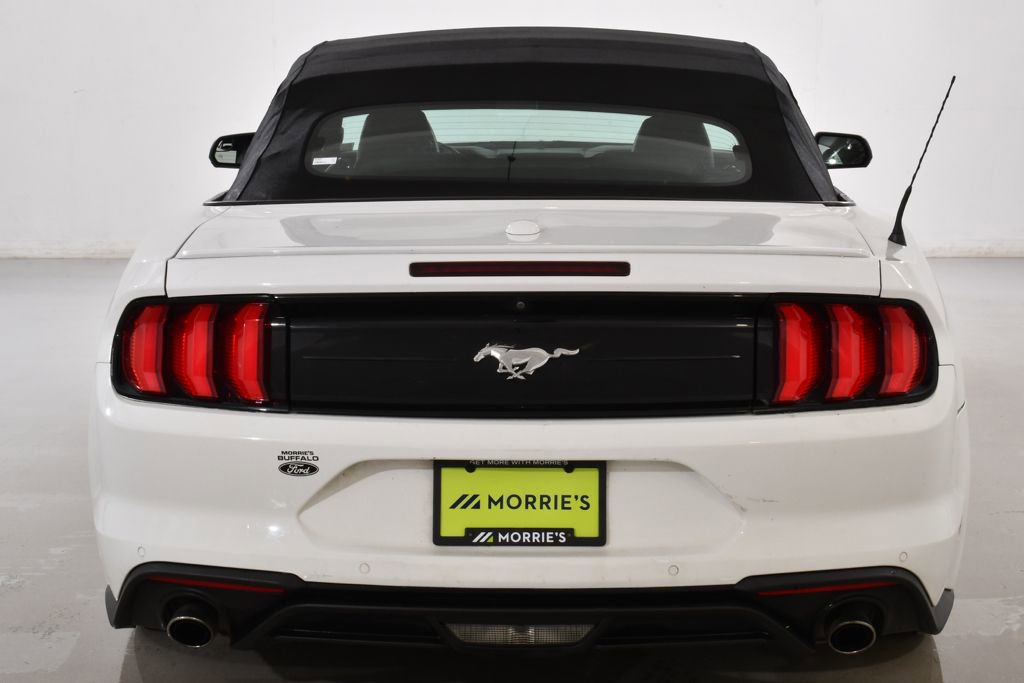 Used 2018 Ford Mustang Premium image 13