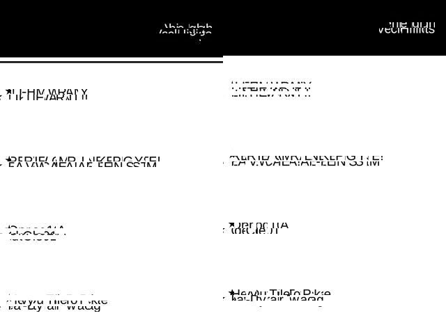 New 2025 Ford Transit 250 Low Roof AWD image 38