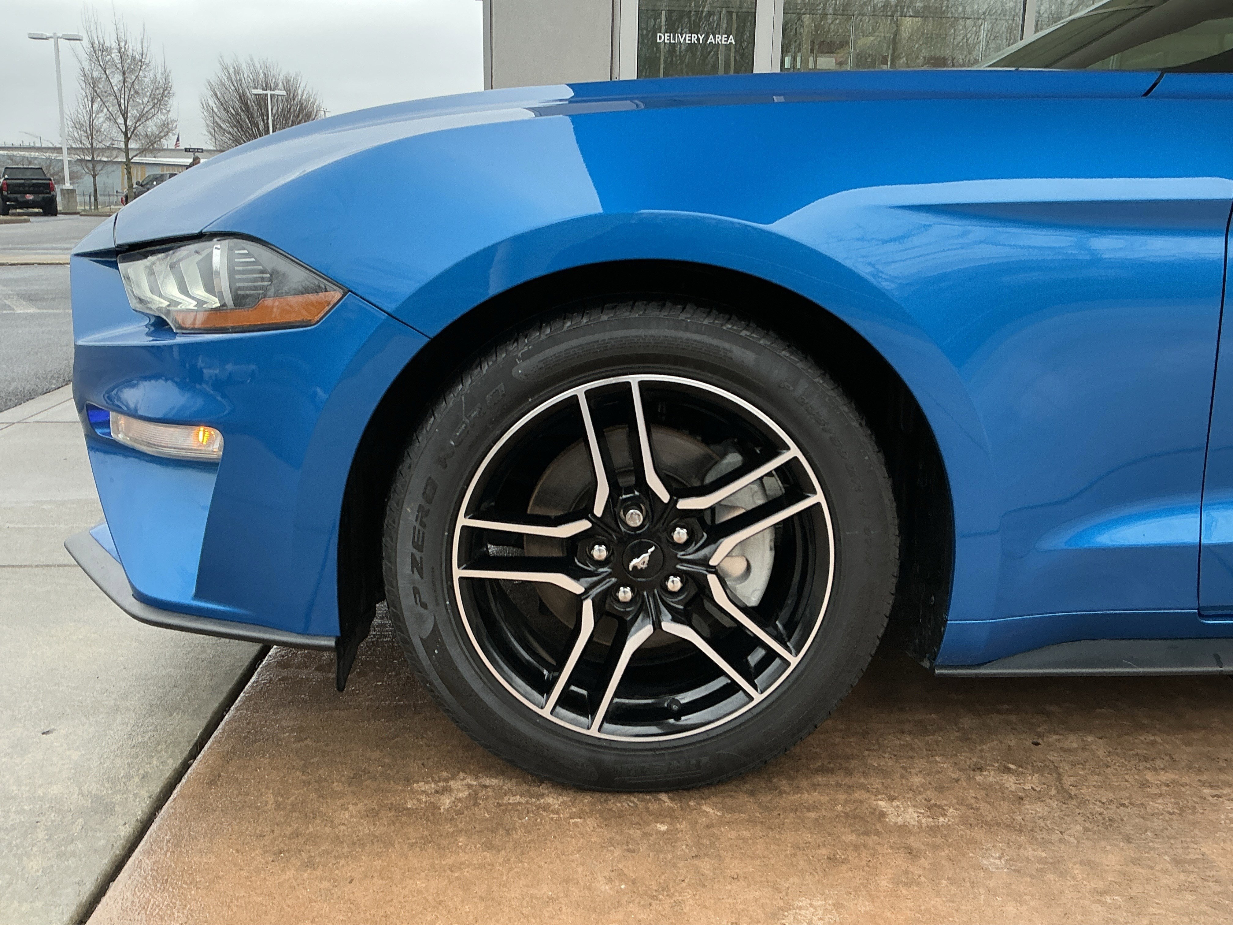 Used 2019 Ford Mustang Premium image 25