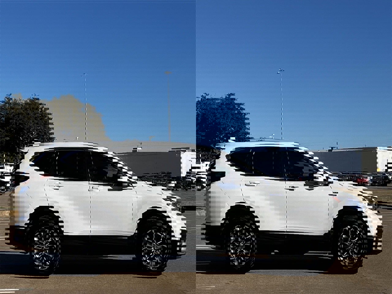 Used 2020 Honda CR-V EX-L image 3