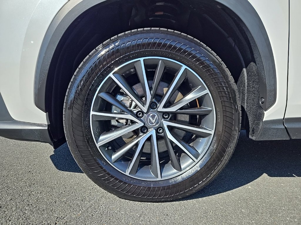 Used 2024 Lexus NX 350 AWD w/ Cold Area Package image 9