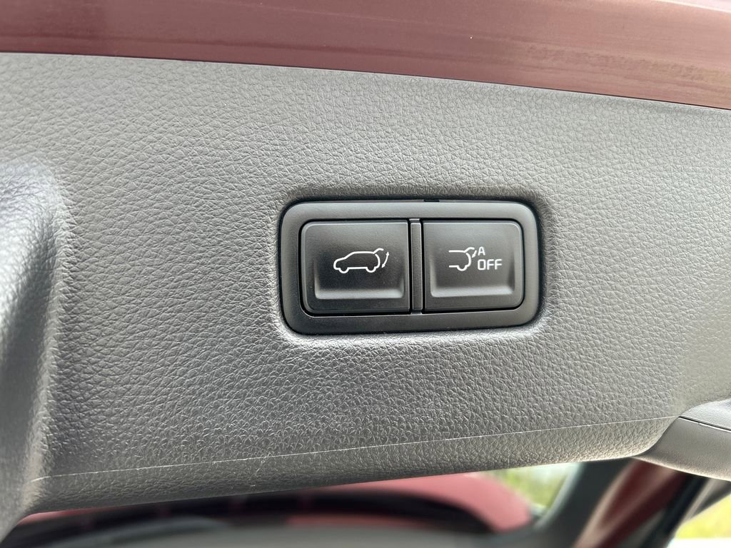 Used 2024 Kia Carnival SX Prestige image 19